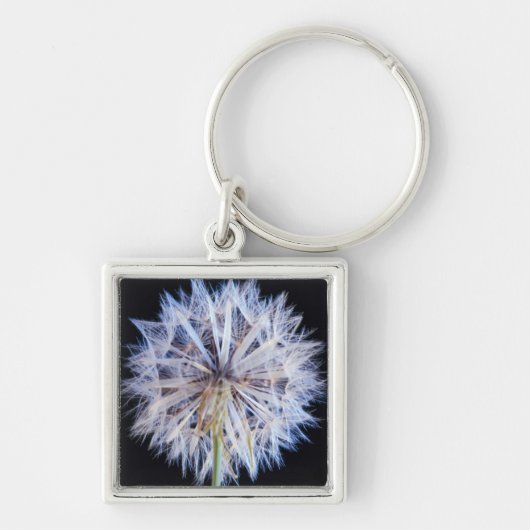 タンポポ (Taraxacum Officinale) 綿毛 キーホルダー (正面)