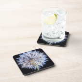 タンポポ (Taraxacum Officinale) 綿毛 コースター (右側)