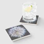 タンポポ (Taraxacum Officinale) 綿毛 ストーンコースター (横)