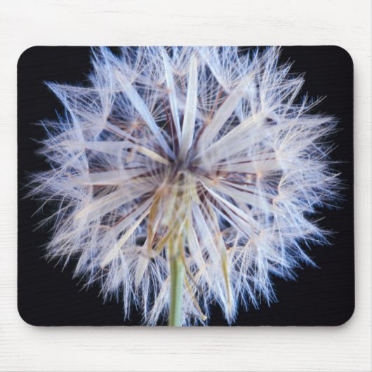 タンポポ (Taraxacum Officinale) 綿毛 マウスパッド (正面)