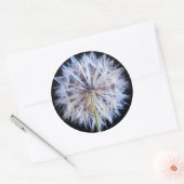 タンポポ (Taraxacum Officinale) 綿毛 ラウンドシール (封筒)