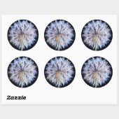 タンポポ (Taraxacum Officinale) 綿毛 ラウンドシール (シート)
