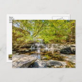 タンヤードクリーク滝インザ秋はがき ポストカード (正面/裏面)