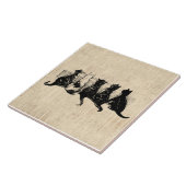 タン図解入りの、写真付きのスクリプト背景の子猫 タイル (側面)