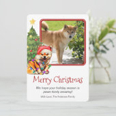 タン柴犬とクリスマスツリーペットドッグワンフォト シーズンカード (スタンド正面)