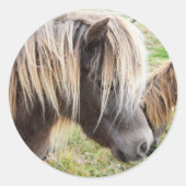 タン色のシェトランドポニー ラウンドシール (正面)