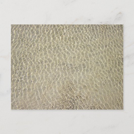 タン色クロコダイルレザーパターン ポストカード (正面)