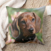 タンMinitureのダックスフント クッション (ブランケット)