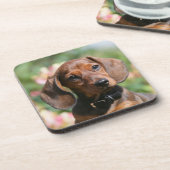 タンMinitureのダックスフント コースター (左側)