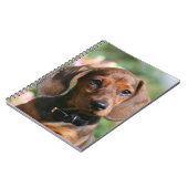 タンMinitureのダックスフント ノートブック (左側)