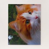 ターキッシュアンゴラ猫。 ジグソーパズル (縦)