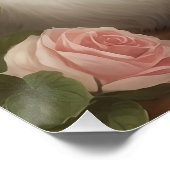 ターキッシュアンゴラ猫 ポスター (コーナー)