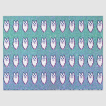 ターキッシュアンゴラ猫 – Blue Eed Angora
