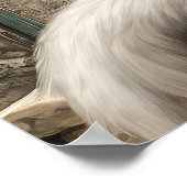 ターキッシュアンゴラ：キャットアートプリント ポスター (角)