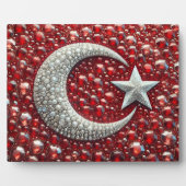 ターキッシュカラー付きプラークモダンデザイン フォトプラーク (正面)