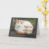 ターキッシュバン**おめでとう** カード (黄色い花)