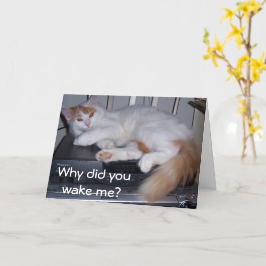 ターキッシュバン*起きていた*なぜ起こしたの? カード (黄色い花)