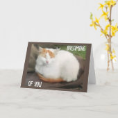 ターキッシュ・ヴァンが「卒業おめでとう」って言ってるよ！ カード (黄色い花)