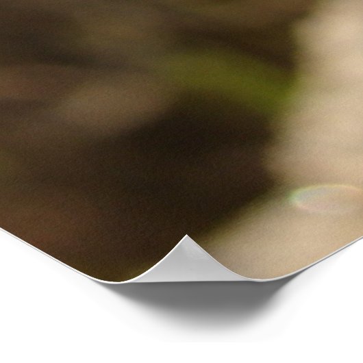 ターキンシック ポスター (角)