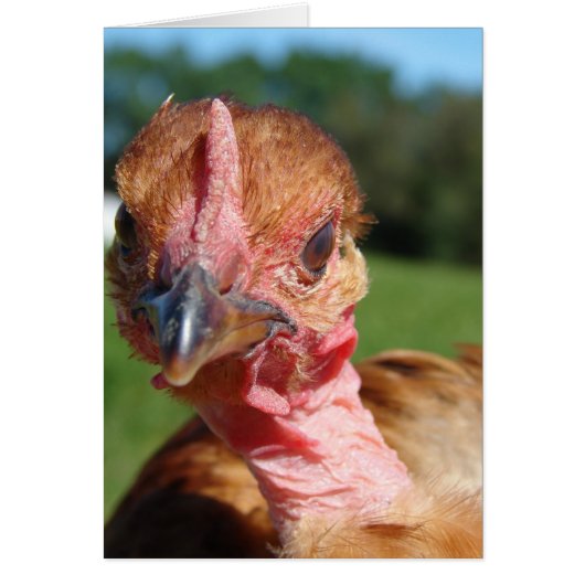 ターキンピュレット (正面)