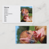 ターキンピュレット 名刺 (正面/裏面)