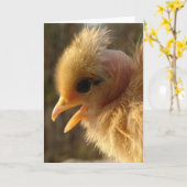 ターキン·ヒヨ カード (黄色い花)