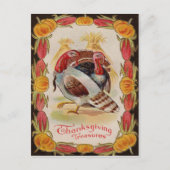 ターキーコーンショックストークパンプキンインディアンコーン ポストカード (正面)