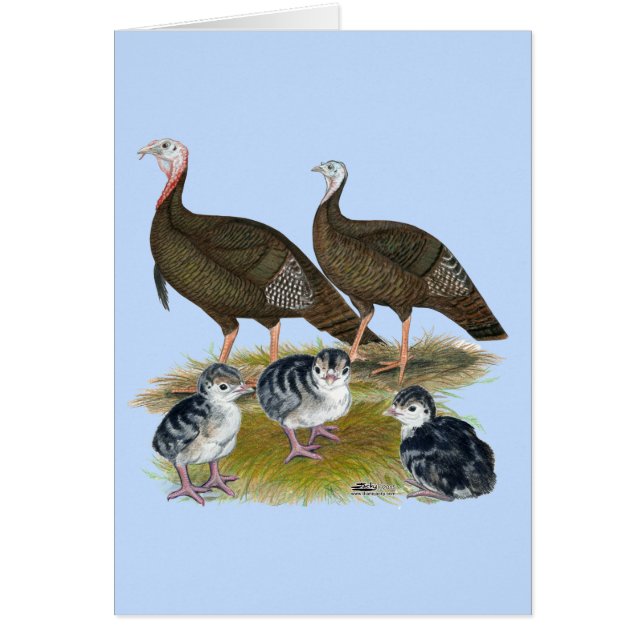 ターキーズイースタンワイルドファミリー (正面)