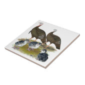 ターキーズイースタンワイルドファミリー タイル (側面)