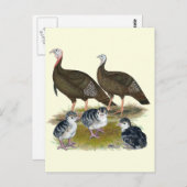 ターキーズイースタンワイルドファミリー ポストカード (正面/裏面)