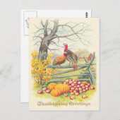 ターキーズファームパンプキンリンゴツリー紅葉 ポストカード (正面/裏面)