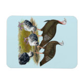 ターキーズ東部野生科 マグネット (横)