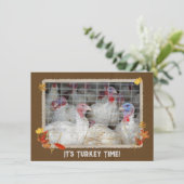 ターキーデイディナー招待状 招待状 (スタンド正面)