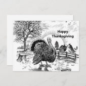 ターキーファームスケッチ感謝祭 ポストカード (正面/裏面)