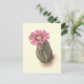 ターキーヘッドカクタスボタニカルイラストレーション ポストカード (スタンド正面)