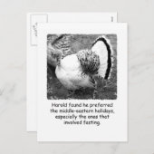 ターキーユーモアのある感謝祭のポストカード シーズンポストカード (正面/裏面)