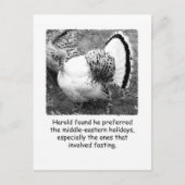 ターキーユーモアのある感謝祭のポストカード シーズンポストカード (正面)