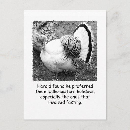 ターキーユーモアのある感謝祭のポストカード シーズンポストカード (正面)