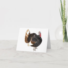 ターキー空白のカード カード