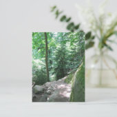 ターキー走トレイルはがき ポストカード (スタンド正面)