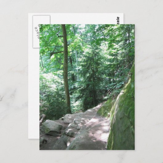 ターキー走トレイルはがき ポストカード (正面/裏面)