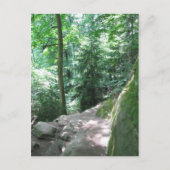 ターキー走トレイルはがき ポストカード (正面)