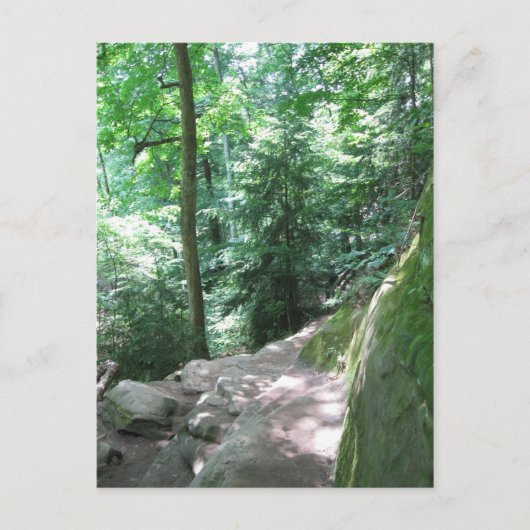 ターキー走トレイルはがき ポストカード (正面)