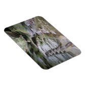 ターキー走州パーク浸食された階段 マグネット (右側)