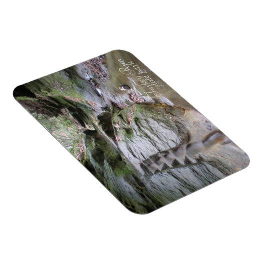 ターキー走州パーク浸食された階段 マグネット (右側)