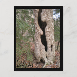 ターキー走州パークHallow Tree ポストカード