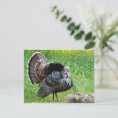 ターキー タイム ポストカード (スタンド正面)