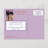 タークスとカイコス葉書「ヤシの木を採用した ポストカード (裏面)