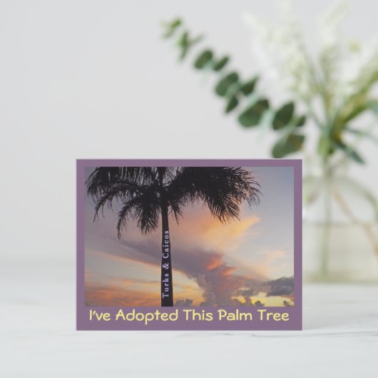 タークスとカイコス葉書「ヤシの木を採用した ポストカード (スタンド正面)