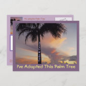 タークスとカイコス葉書「ヤシの木を採用した ポストカード (正面/裏面)